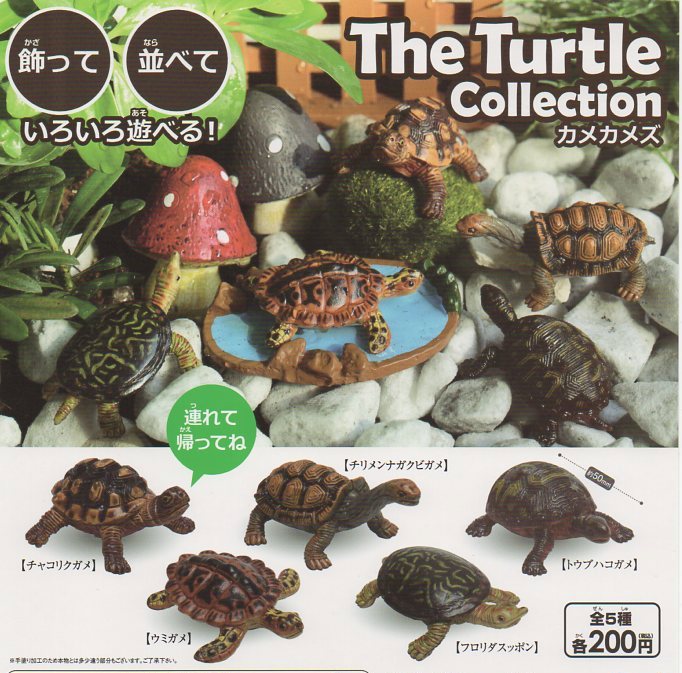 The Turtle Collection JYSTZbg