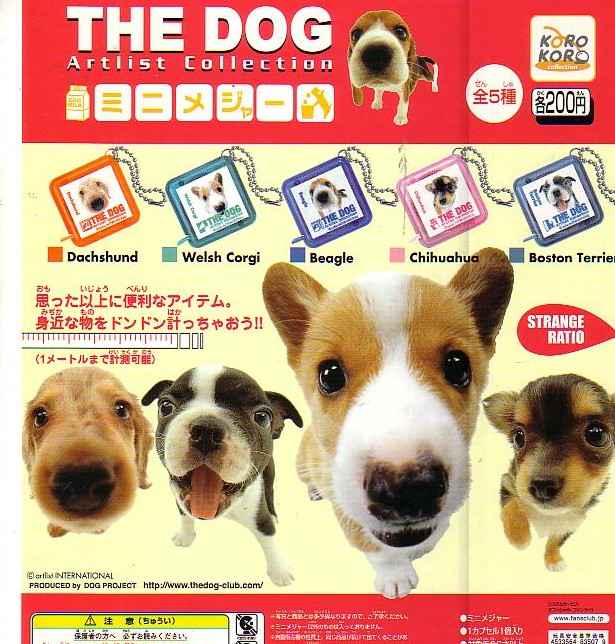 THE DOG UEhbO@~jW[T